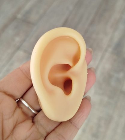 Oreja exhibidor