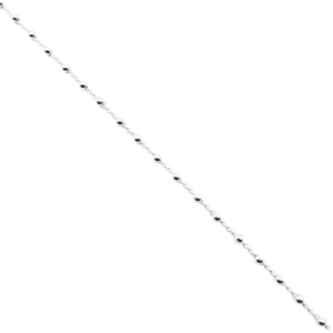PP19